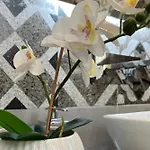 Appartement La Casa Del Vecchio Borgo Palermo