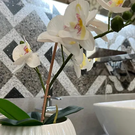 Appartamento La Casa Del Vecchio Borgo Palermo